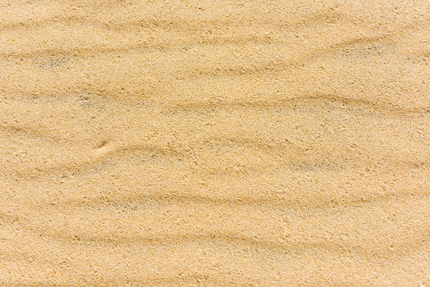 Vista superior de un fondo marino de arena
 - Foto, imagen