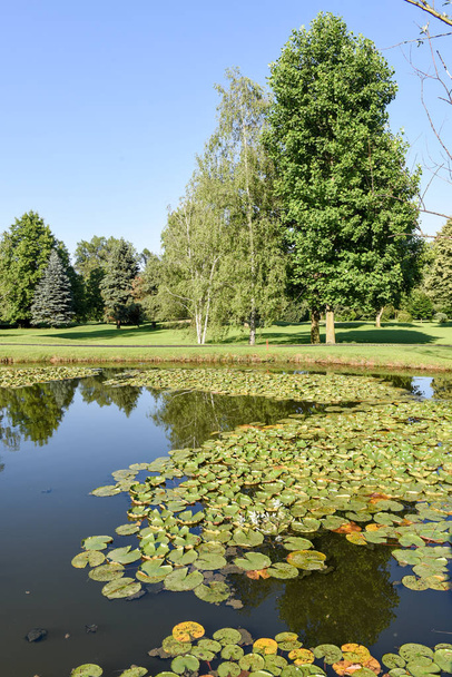 The lake of the golf course at Magliaso - Photo, Image
