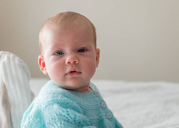 Oturan bebek portresi - Fotoğraf, Görsel