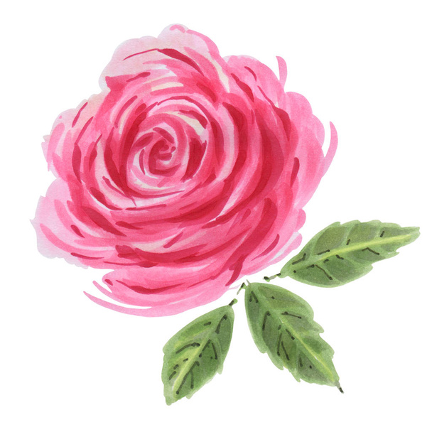 Червона троянда аквареллю
 - Фото, зображення