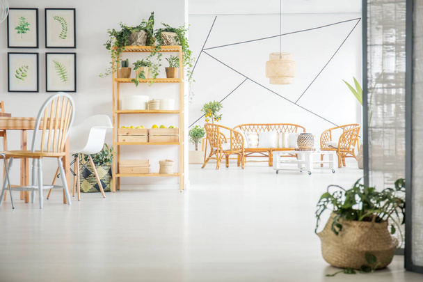 Sala de estar e jantar com plantas
 - Foto, Imagem