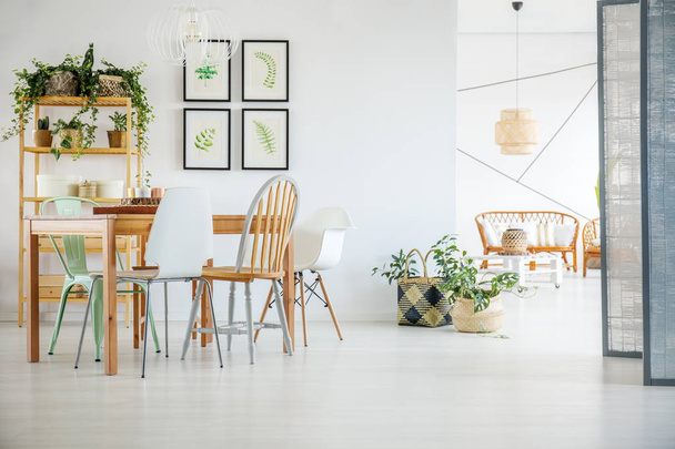 White dining room - Photo, image