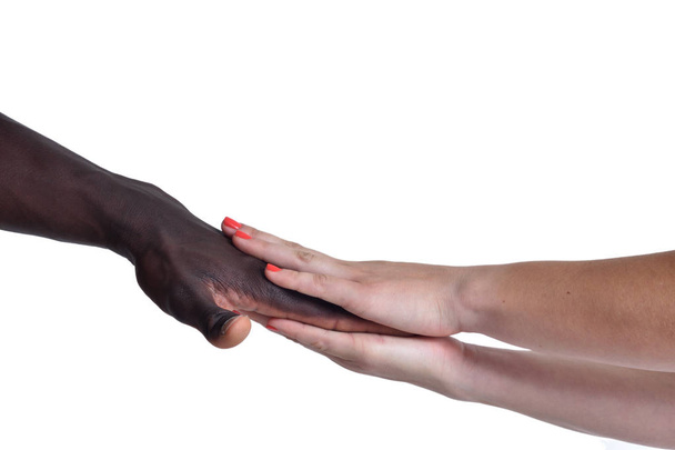 Una mano caucásica y otra africana sobre fondo blanco
 - Foto, imagen
