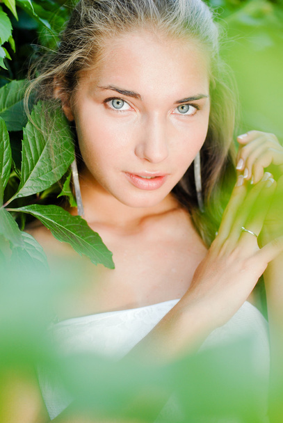 Young beautiful woman portrait among green leaves of virginia cr - Φωτογραφία, εικόνα
