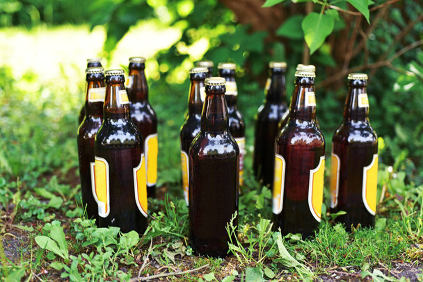 Bottles of beer on grass. - Valokuva, kuva