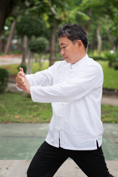 anciano practicando kungfu o tai chi en el parque, estilo de vida saludable
 - Foto, imagen