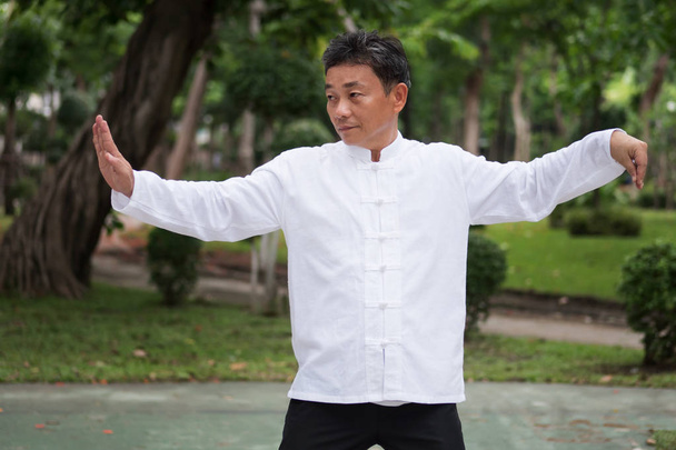 Starý muž cvičí kungfu nebo tai chi v parku, zdravého životního stylu - Fotografie, Obrázek