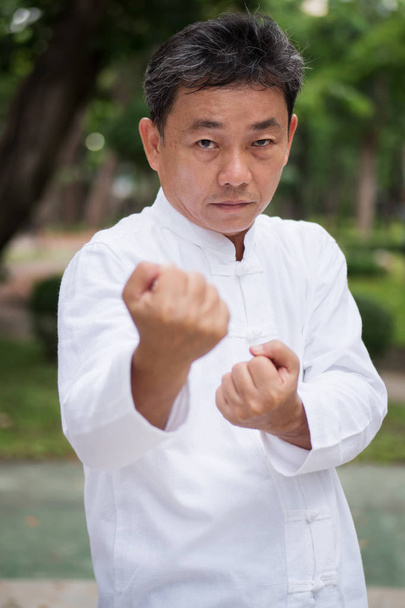 anciano practicando kungfu o tai chi en el parque, estilo de vida saludable
 - Foto, Imagen