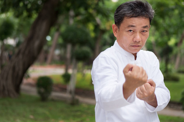 öreg gyakorolni a Kung Fu és a tai chi, a parkban, egészséges életmód - Fotó, kép