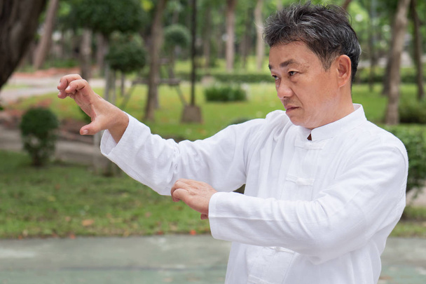 poważny człowiek stary uprawiania tai chi lub tiger claw stylu kungfu - Zdjęcie, obraz