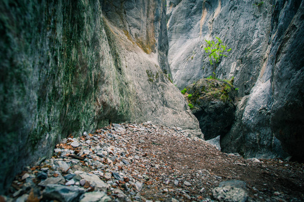 gran roca en las montañas
  - Foto, imagen