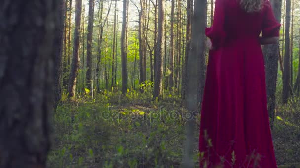giovane donna in abito rosso passeggiando nella foresta - Filmati, video