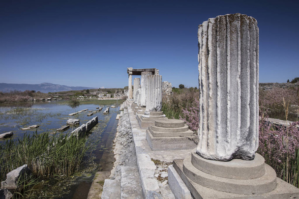 Miletos ancient city - Valokuva, kuva