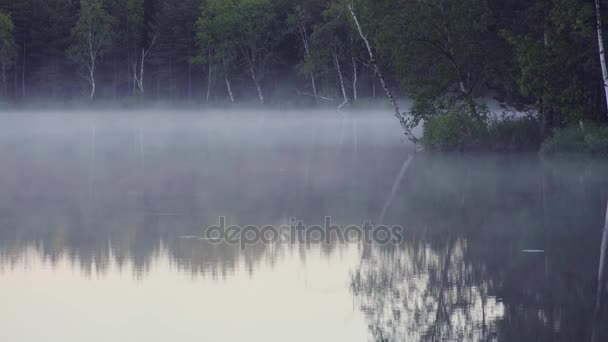 Mlha na jezeře Les v noci. - Záběry, video