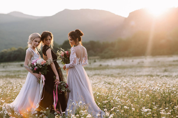 three beautiful girls brunette and blonde, brown-haired woman enjoying Daisy field, nice long dresses, pretty girl relaxing outdoor, having fun, happy young lady and Spring green nature, harmony conce - Фото, изображение