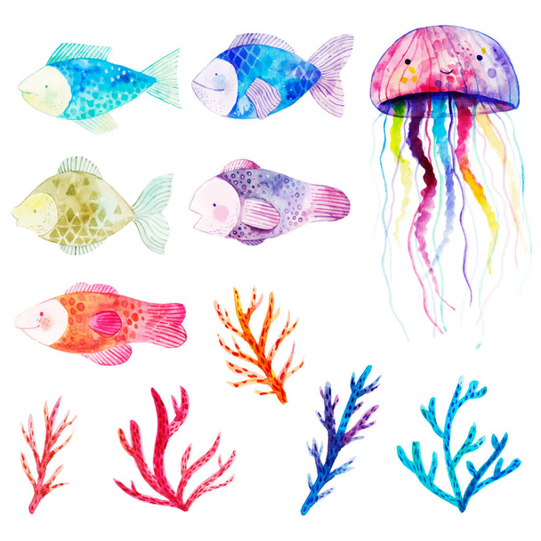 Akvarel, ryby, mořské řasy, korály a medúzy. - Vektor, obrázek