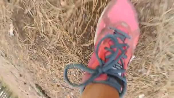 Fechar imagens de câmera lenta de pés femininos em tênis correndo na floresta
 - Filmagem, Vídeo