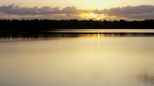 Lake en wildernis bij zonsondergang  - Video