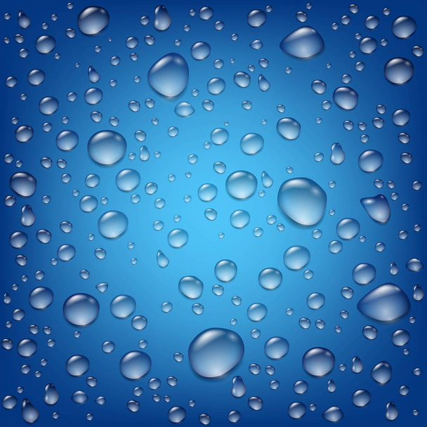Ρεαλιστική διαφανή νερό σταγόνες πρότυπο - Διάνυσμα, εικόνα