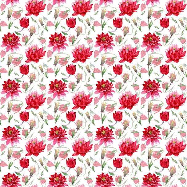 Vadvirág Aquilegia virág akvarell stílusú minta. - Fotó, kép