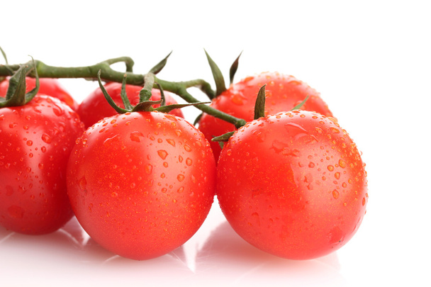 Черри помидоры на ветке с капли изолированы на белом
 - Фото, изображение