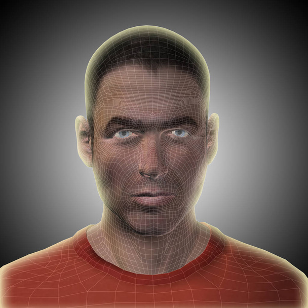 wireframe joven rostro humano
  - Foto, Imagen