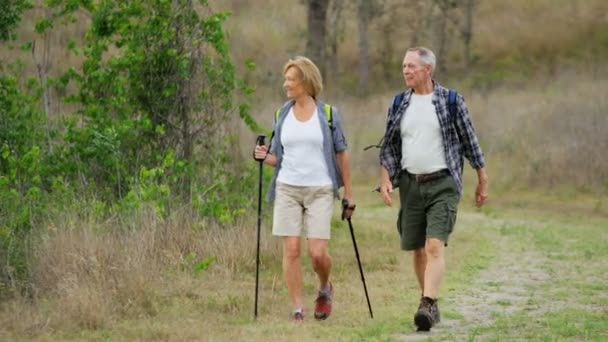 Senioren trainieren mit Nordic-Walking-Stöcken  - Filmmaterial, Video