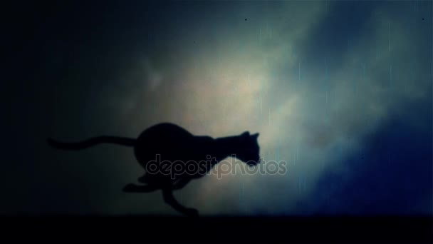 Ένα μαύρο πάνθηρα τρέχει σε βρόχο κάτω από μια καταιγίδα τη νύχτα - Πλάνα, βίντεο