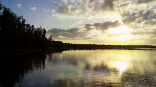 jeziora i lasu Puszczy o zachodzie słońca  - Materiał filmowy, wideo