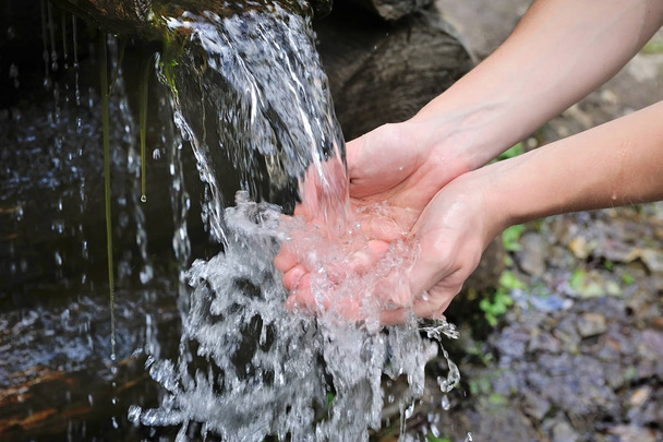 Drinking water and natural water in the hands. - Photo, Image