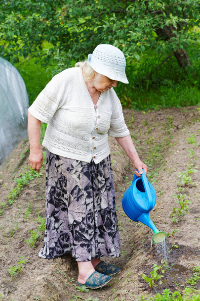 The grandmother waters  bed from a watering can - Valokuva, kuva