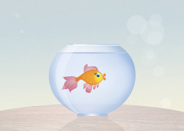 bowl with goldfish - Foto, Imagem
