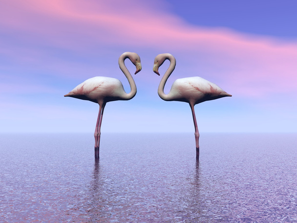 Flamingo ja meri
 - Valokuva, kuva
