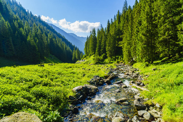Красивые пейзажи с горной рекой в горах Фагараси
 - Фото, изображение
