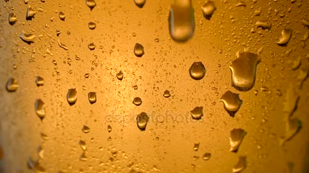 Textuur water druppels op het glas bier. - Video