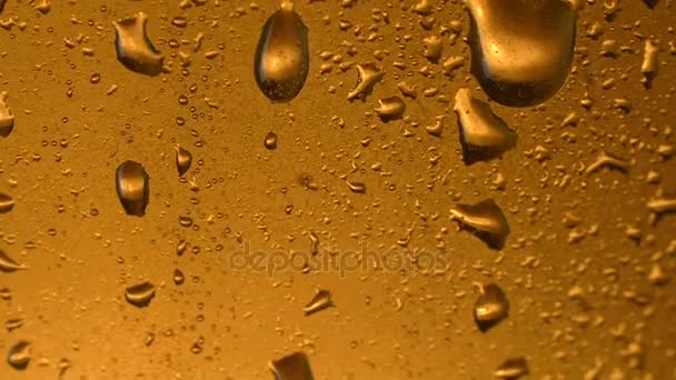 Texture water drops on the bottle of beer. - Footage, Video