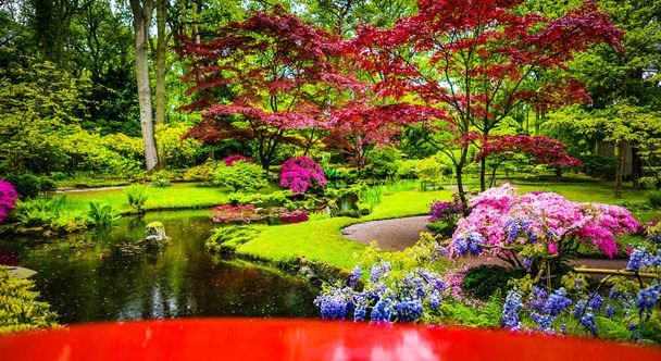 Jardín tradicional japonés
. - Foto, Imagen