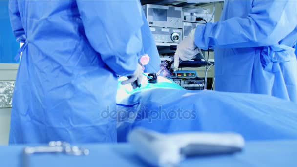Chirurgisch team met endoscopie - Video