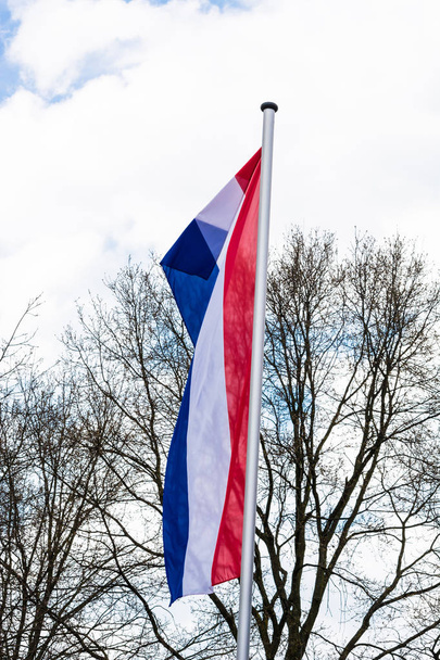Portre biçiminde Hollanda ulusal bayrak  - Fotoğraf, Görsel