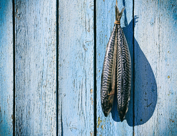 Two fresh mackerel hanging on a rope - Photo, Image