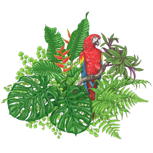Tropical Plants  and  Sitting Macaw  - Vektör, Görsel