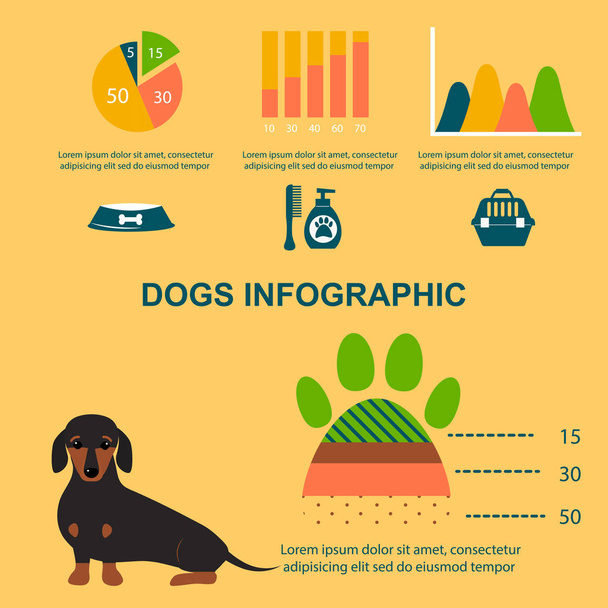 Pes jezevčík herními prvky vektorový infographic sada plochý symboly štěně domácí zvíře ilustrace - Vektor, obrázek