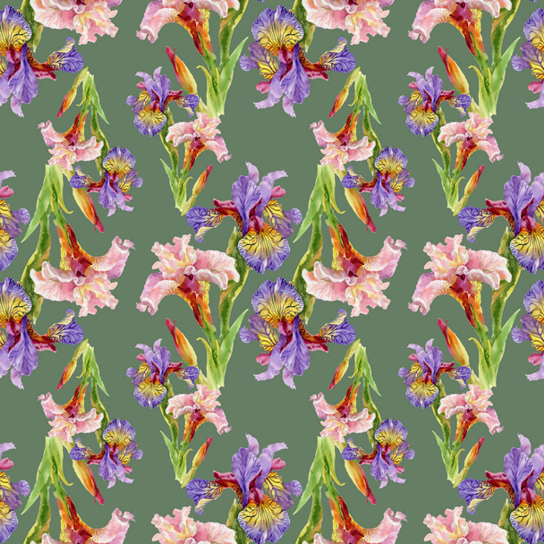 iris flowers  background - 写真・画像