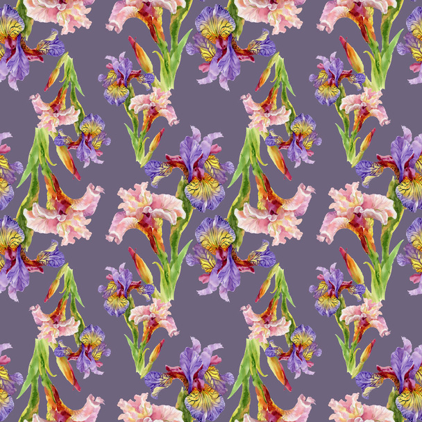 iris flowers  background - 写真・画像