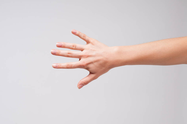 Female hand and five fingers - 写真・画像