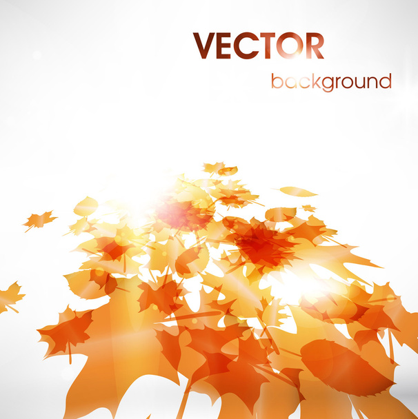 Leaves with space for text - Vector, Imagen