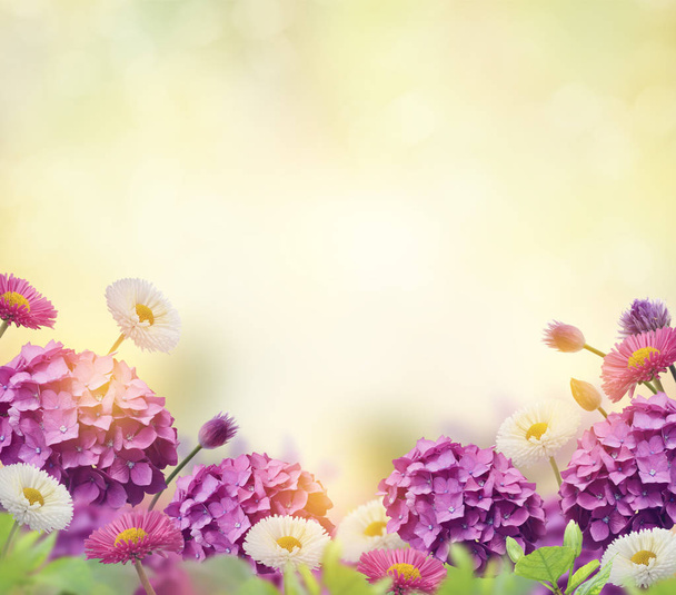 mooie bloemen achtergrond - Foto, afbeelding
