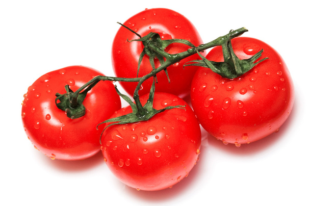 Tomates en rama con gotas de agua
 - Foto, Imagen