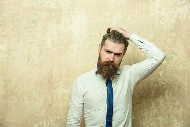 hipster or bearded man with long beard on serious face - Fotoğraf, Görsel