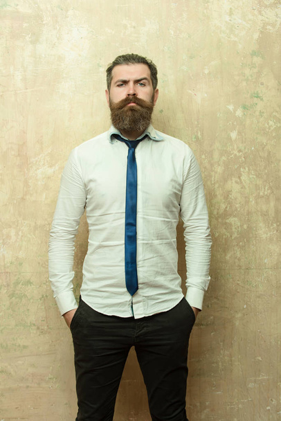 bearded man or hipster with long beard on serious face - Fotoğraf, Görsel